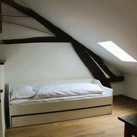 Le Refuge Des Libellules