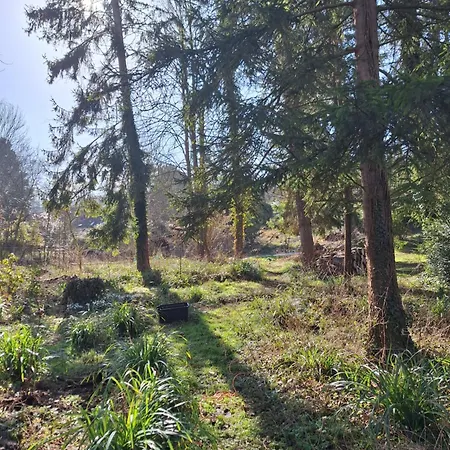 Le Refuge Des Libellules