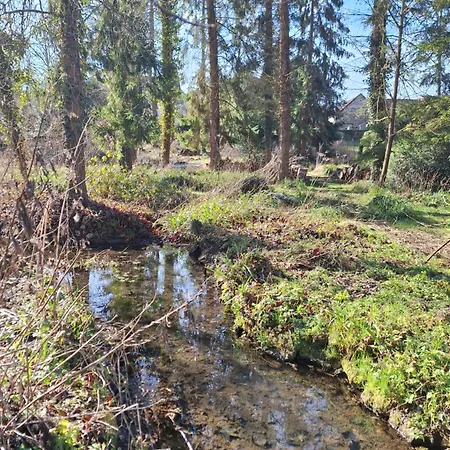 Le Refuge Des Libellules