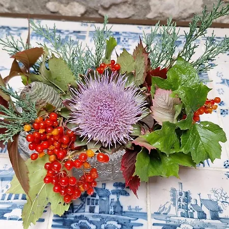 Bed & Breakfast Le Refuge Des Libellules 3*