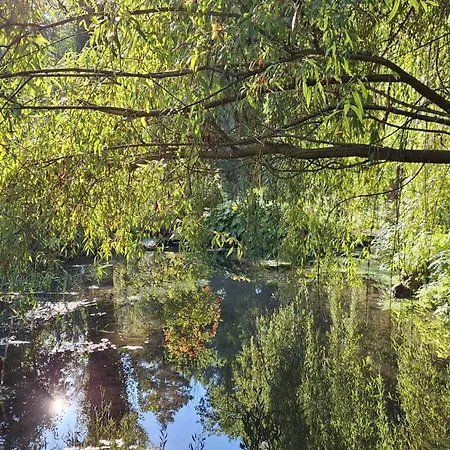 Le Refuge Des Libellules 3*