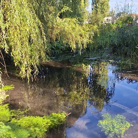 Le Refuge Des Libellules
